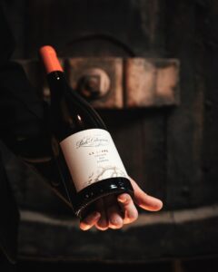 350808921_170260565766862_4897091156569730400_n